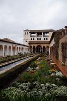 Blumenbeet im Generalife.