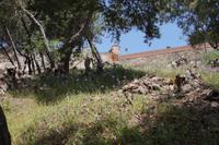 Castillo de Gibralfaro mit Blumen