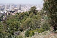 Málaga Kathedrale & Alcazaba