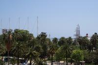 Hinter Palmen: Málagas Hafen