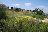 Frühjahr ist die schönste Reisezeit in Andalusien