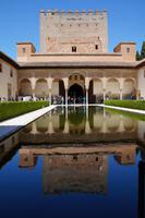 Patio de Arrayanes (Myrtenhof) mit Spiegelung des Torre de Comares, in welchem sich der Botschaftersaal befindet