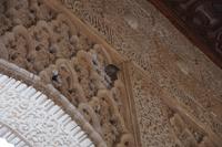 Trotz Gittern nisten die Spatzen in den Stuckverzierungen der Alhambra