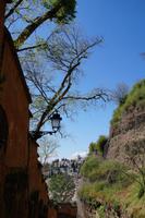 Zwischen Generalife und Alhambra, der Weg runter in die Stadt