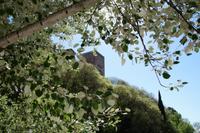 Der Comaresturm - darin befindet sich der Thronsaal