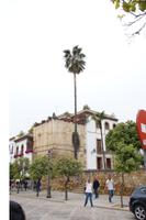 In ein Wohnhaus integrierter Stadtmauerturm in Córdoba
