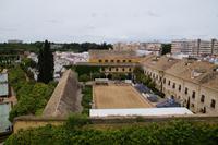 Cordobesische Hofreitschule, vom Alcázar aus gesehen