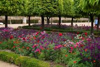 Blütenpracht, Alcázar de Córdoba