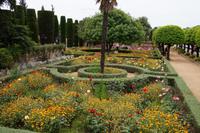 Blütenpracht, Alcázar de Córdoba
