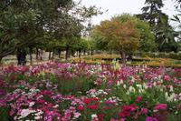 Blütenpracht, Alcázar de Córdoba