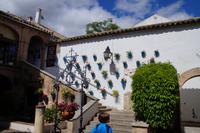 Córdobeser Innenhof mit Blumentöpfen