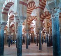 Ein Meer aus Säulen