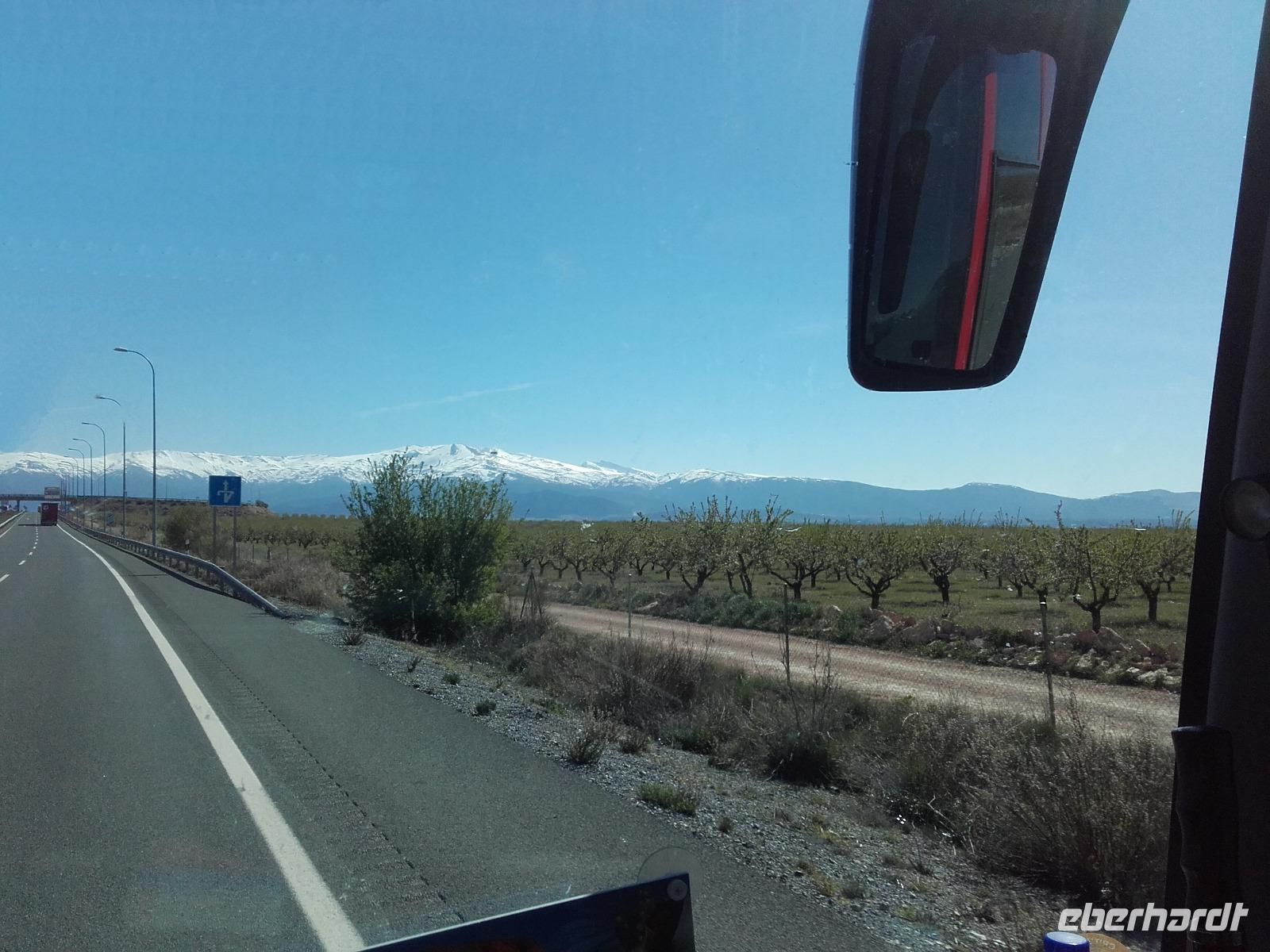 An blühenden Mandelplantagen entlang steuern wir auf die schneebedeckten Gipfel der Sierra Nevada zu.