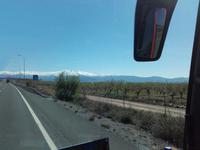 An blühenden Mandelplantagen entlang steuern wir auf die schneebedeckten Gipfel der Sierra Nevada zu.