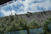 Auf der Mauer, auf der Lauer sitzt 'ne Horde Affen