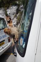 Der Scheibenwischer hält