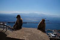 Hier haben sich zwei auseinandergelebt