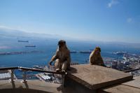 Bucht von Algeciras/Gibraltar