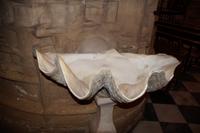 Muschel als Weihwasserbecken, Marienkirche, Carmona