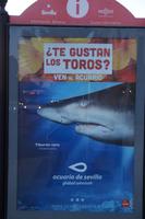 Werbung vor der Stierkampfarena: Wenn du Stier(kämpf)e magst, komm ins Aquarium! Tiburón toro (