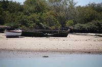 Katamaran El Puerto de Santa María - Cádiz