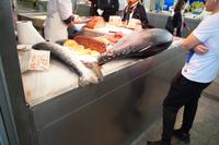 Thunfisch, Markt Cádiz