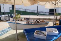 Fisch grillen am Strand von Sanlúcar de Barrameda