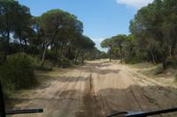 Sandpiste, Coto de Doñana