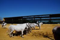 Erste Begegnung mit den Karthäusern