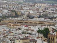 Sevilla (46)