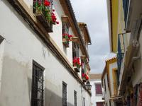 Cordoba (7)