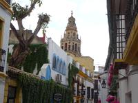 Cordoba (17)