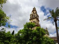 Cordoba (29)