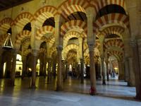 Cordoba (37)