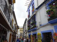 Cordoba (11)