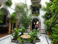 Cordoba (19)