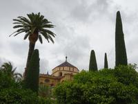 Cordoba (23)