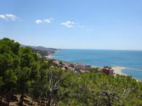 Malaga (5)