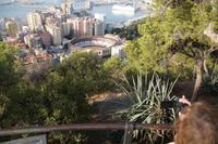 Plaza de Toros de Málaga und Hafen