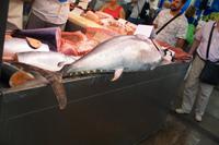 Thunfisch im Markt von Cádiz