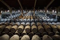 Der Schatz vom Tesorillo