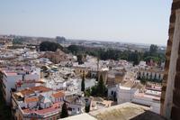 Von der Giralda in Richtung der Reales Alcázares
