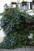 Wohnhaus in Córdoba