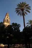 Auf dem Moscheeinnenhof von Córdoba