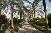 Schattengarten - nur mit dem Schatten will es nicht so klappen, da die Pflanzen auf den Rankhilfen regelmäßig verbrennen