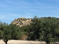 Burg des Adhemar, Südfrankreich