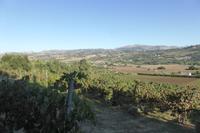 029-Ronda_Stierkampfarena