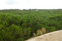 127-Parque_Nacional_Coto_de_Donana