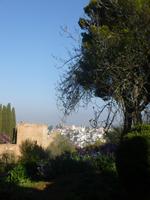 Alhambra Granada