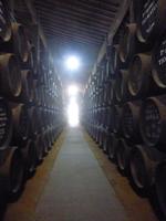 Jerez_Real Tesoro_Sherryfässer